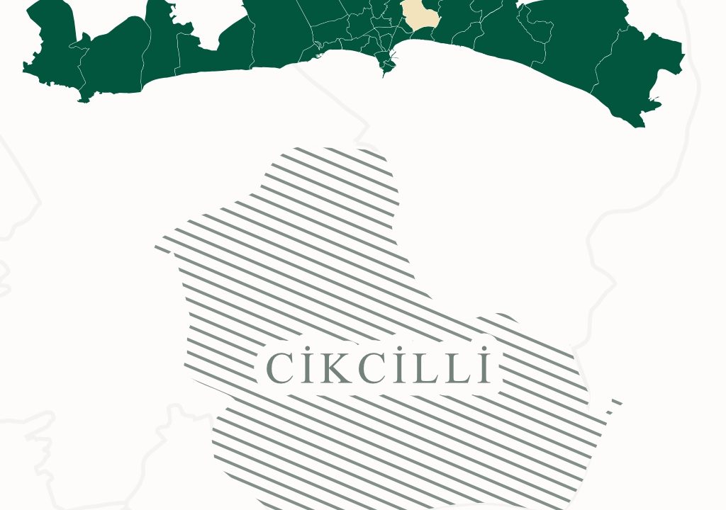 نقشه محله جیکجیلی آلانیا